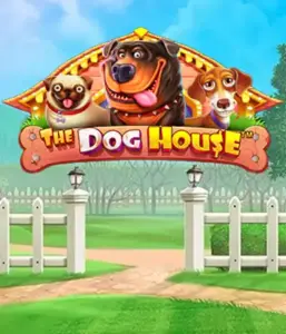 Pragmatic Play's The Dog House Slot, offering an adorable experience among charming canines. Enjoy features such as sticky wilds, perfect for providing joyful moments. Perfect for those who enjoy an amusing setting and the opportunity to win big.